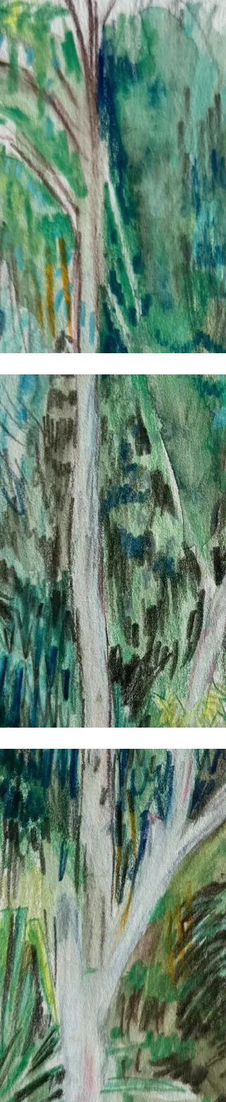 Pro Bono Matters & Initiatives